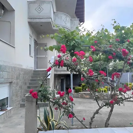 Apartment Rania House